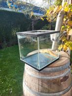 Aquarium 30x30x30 met lamp, Dieren en Toebehoren, Ophalen, Gebruikt, Leeg aquarium