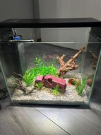 Aquarium Home 40 inc. Toebehoren, Ophalen, Zo goed als nieuw, Leeg aquarium