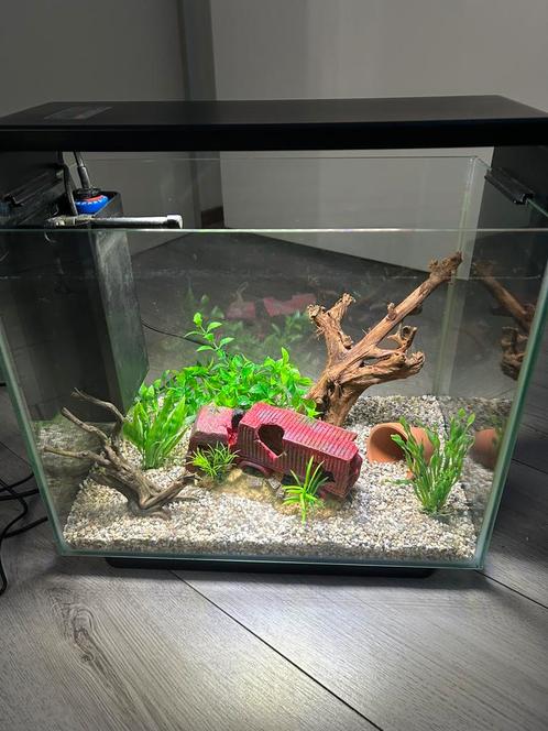 Aquarium Home 40 inc. Toebehoren, Dieren en Toebehoren, Vissen | Aquaria en Toebehoren, Zo goed als nieuw, Leeg aquarium, Ophalen