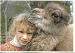 Meisje met kameel., Verzamelen, Ansichtkaarten | Dieren, Gelopen, Overige soorten, Verzenden, 1980 tot heden