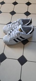 adidas superstar 37 prima staat, Kleding | Dames, Schoenen, Gedragen, Ophalen of Verzenden