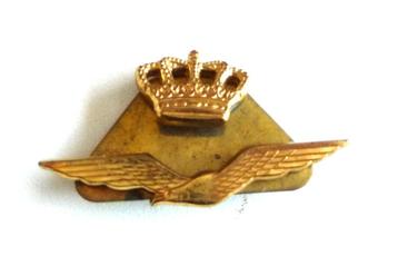 EMBLEEM KLEDING LUCHTMACHT MET KOPERACHTERSTUK ALS NIEUW beschikbaar voor biedingen