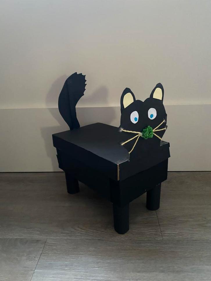 Katten surprise, Diversen, Sinterklaas, Zo goed als nieuw, Ophalen of Verzenden