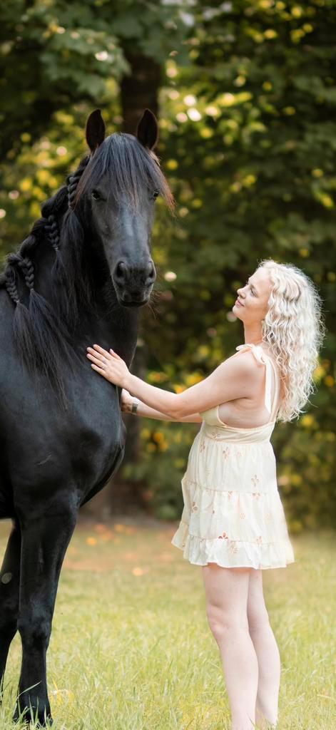 Verzorg(ster) gezocht!, Dieren en Toebehoren, Paarden en Pony's | Verzorgingsproducten, Nieuw, Ophalen of Verzenden