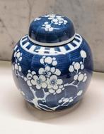 antieke prunus blauw wit chinese gemberpotje, Ophalen of Verzenden