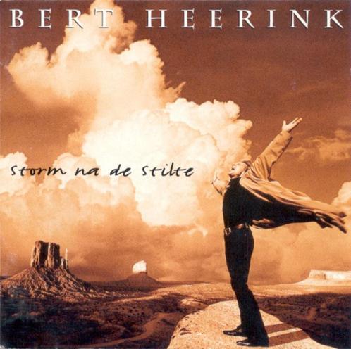 Neder-Rock (1995) Bert Heerink - Storm na de Stilte, Cd's en Dvd's, Cd's | Nederlandstalig, Gebruikt, Pop, Ophalen of Verzenden