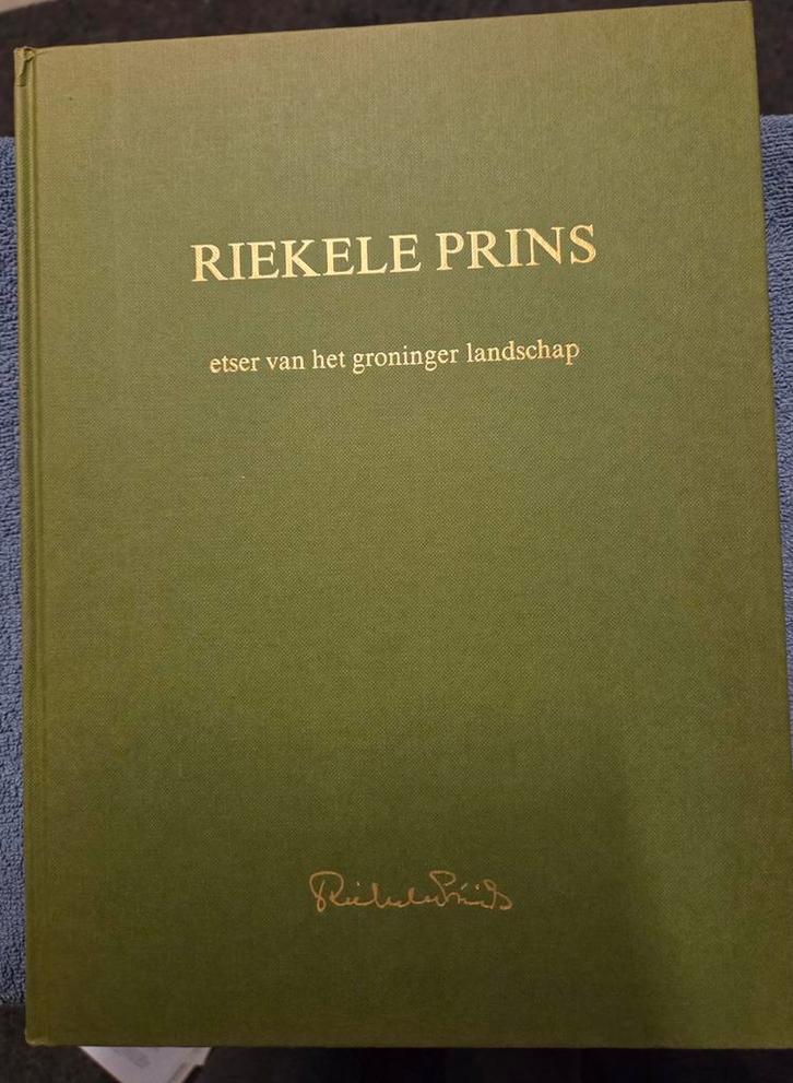 Riekele Prins - Etser van het Groninger Landschap (ZGAN), Boeken, Kunst en Cultuur | Fotografie en Design, Zo goed als nieuw, Overige onderwerpen