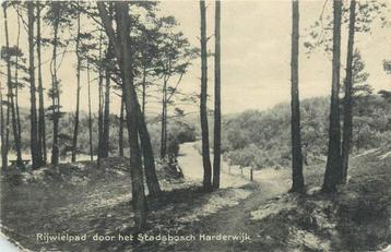 (381-193-013) Harderwijk Rijwielpad door het Stadsbosch beschikbaar voor biedingen