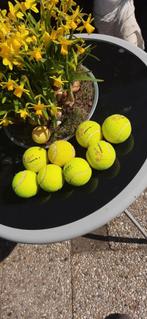 Gebruikte tennis en padelballen, Dieren en Toebehoren, Hondenspeelgoed, Ophalen, Gebruikt, Apporteerspeelgoed