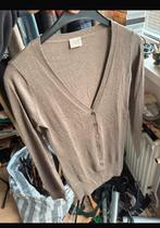 Pauw vest wol zijde 36, Kleding | Dames, Truien en Vesten, Ophalen of Verzenden, Zo goed als nieuw, Maat 36 (S)