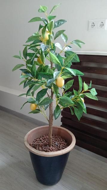 terracottapot met kunstplant citroenplant bloempot sierpot beschikbaar voor biedingen