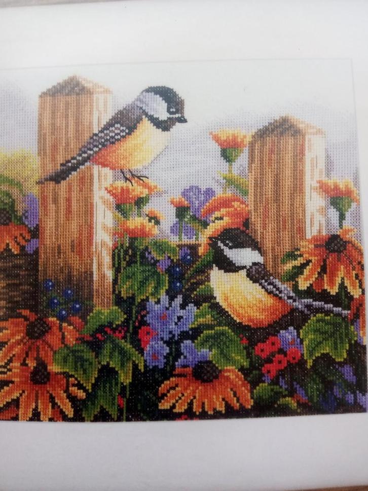 Borduurpakket met Dmc borduurzijde/borduurgaren nu 50%af, Hobby en Vrije tijd, Borduren en Borduurmachines, Nieuw, Borduurpakket