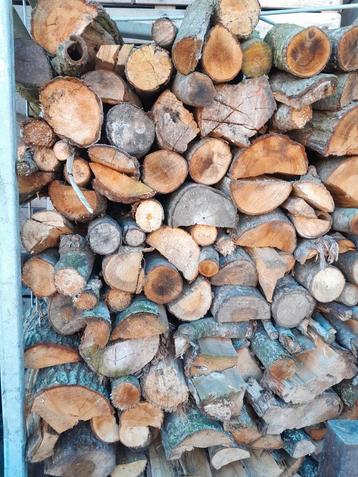 Brandhout  beschikbaar voor biedingen