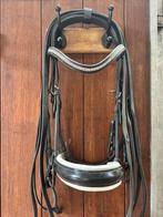 Stang en trens hoofstel cob, Ophalen of Verzenden, Gebruikt, Dressuur