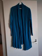 Lien & Giel vest - Petrol kleur, Kleding | Dames, Blauw, Ophalen of Verzenden, Zo goed als nieuw, Maat 36 (S)