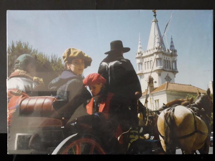 NIEUW puzzel 1000 toeristen citytrip paard en wagen Kasteel, Hobby en Vrije tijd, Denksport en Puzzels, Nieuw, Legpuzzel, 500 t/m 1500 stukjes