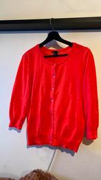 Fluor zalm roze vest, Kleding | Dames, Ophalen of Verzenden, Gedragen, Roze