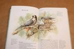 Kijk Op Vogels — In Bos En Hei [Bastin & De Haan], Boeken, Dieren en Huisdieren, Ophalen of Verzenden, Gelezen, Vogels