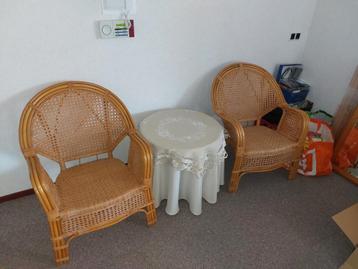 Twee Rotan Stoelen beschikbaar voor biedingen