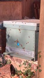 Bijenkasten spaarkast formaat, Ophalen, Gebruikt