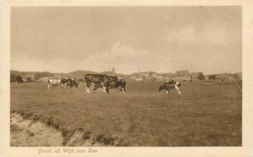 (388-063-035) Wijk aan Zee Groet uit beschikbaar voor biedingen