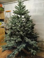Kerstboom van het merk Triumph Tree, Diversen, Kerst, Ophalen, Gebruikt