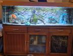 Mooi aquarium zonder vissen, Dieren en Toebehoren, Vissen | Aquaria en Toebehoren, Ophalen, Zo goed als nieuw, Leeg aquarium