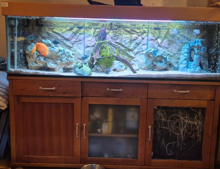 Mooi aquarium zonder vissen, Dieren en Toebehoren, Vissen | Aquaria en Toebehoren, Zo goed als nieuw, Leeg aquarium, Ophalen