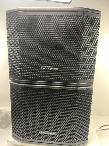 2x AUDIOPHONY MT-SUB-12A 400Watt RMS Aktief 12Inch SET TOP beschikbaar voor biedingen