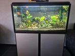 Akvastabil 1 meter met onderkast. Wegens beëindigen hobby., Dieren en Toebehoren, Vissen | Aquaria en Toebehoren, Ophalen, Filter of Co2