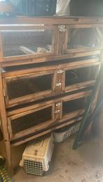 Kwartel opfok toren, Dieren en Toebehoren, Ophalen, Overige typen