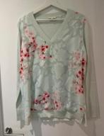 Teb Baker V hals trui mast 40, Maat 38/40 (M), Ophalen of Verzenden, Zo goed als nieuw, Ted Baker