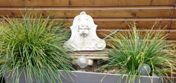 Betonnen ornament beeld fontein hangend kopje wat water spui beschikbaar voor biedingen