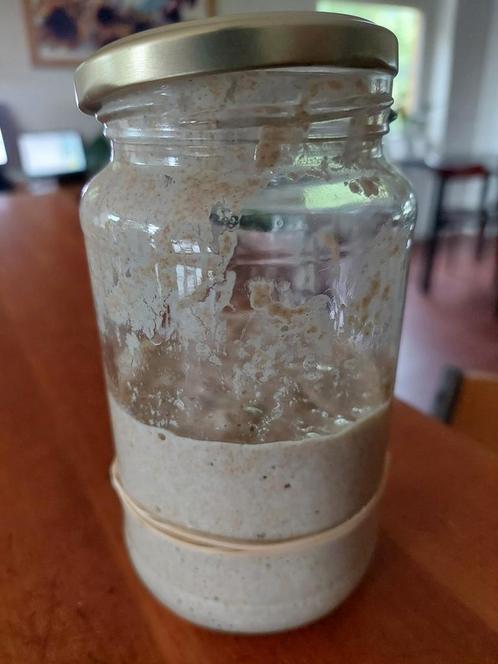 Zuurdesem starter, Diversen, Levensmiddelen, Ophalen