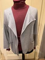 Fabiana Filippi vest, Kleding | Dames, Truien en Vesten, Maat 38/40 (M), Verzenden, Grijs, Gedragen