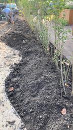 Aarde voor border, Tuin en Terras, Aarde en Mest, Ophalen, Tuinaarde
