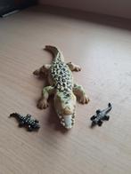 Playmobil Alligator met Baby - Set 6644, Ophalen of Verzenden, Zo goed als nieuw, Complete set