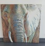 Olifant  meter bij meter, Antiek en Kunst, Ophalen of Verzenden
