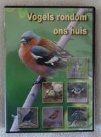 Vogels rondom ons huis DVD Herken de vogels, Cd's en Dvd's, Dvd's | Documentaire en Educatief, Natuur, Alle leeftijden, Ophalen of Verzenden