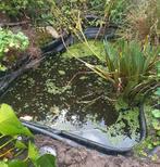 Gratis , grote Vijverbak, Tuin en Terras, Ophalen, Gebruikt