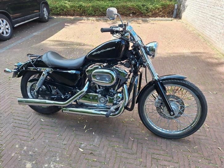 Harley davidson xl 1200 sportster custom 5HD, Motoren, Motoren | Harley-Davidson, Particulier, Chopper, meer dan 35 kW, 2 cilinders