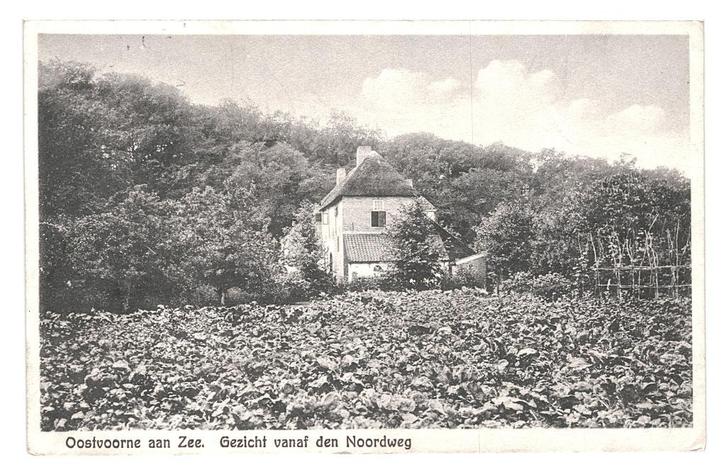 943152 Oostvoorne ZH Gezicht vanaf den Noordweg begin vorige, Verzamelen, Ansichtkaarten | Nederland, Gelopen, Zuid-Holland, Voor 1920