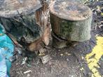 Haardhout, Minder dan 3 m³, Ophalen of Verzenden, Overige houtsoorten, Blokken