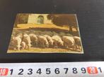 sticker schapen YOVAL, Ophalen, Zo goed als nieuw, Bedrijf of Vereniging