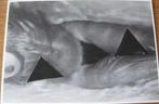 Gert Weigelt - Bermuda triangles - naakt - 1980 - nieuw, Verzenden, 1980 tot heden, Ongelopen, Overige thema's