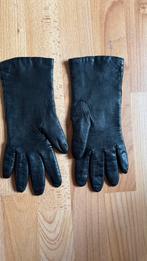 Dames leren handschoenen, 6 1/2, Ophalen of Verzenden, Nieuw, Handschoenen