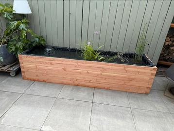 Planten/bomen/vijver bak beschikbaar voor biedingen