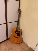 Cort 6-snarige akoestische gitaar in topconditie, Ophalen, Zo goed als nieuw, Met koffer, Western- of Steelstringgitaar