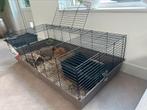 Cavia kooi (Zonder cavia uiteraard!), Kooi, Cavia, Ophalen, Minder dan 60 cm