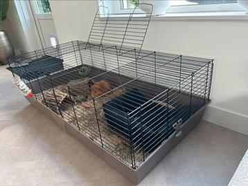Cavia kooi (Zonder cavia uiteraard!) beschikbaar voor biedingen